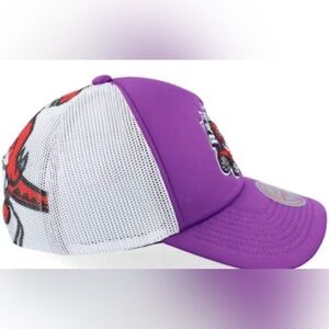 NWT Toronto Raptors Hat